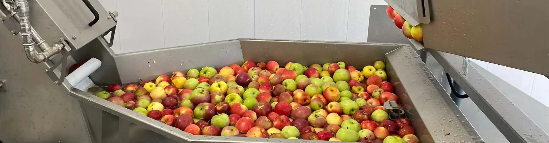 Bannière Fruit Reception / Processing