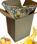 Image Purée d’ananas aseptisée